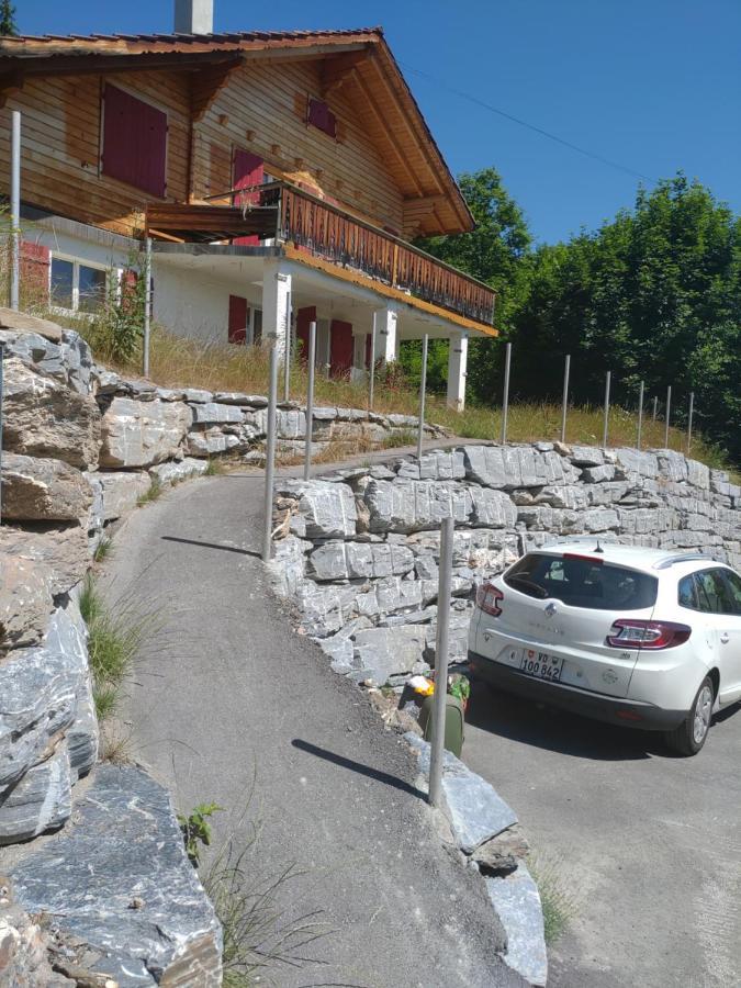 克莱恩 蒙塔纳Chalet Tyl, Vue Imprenable Sur Les Alpes Valaisannes公寓 外观 照片